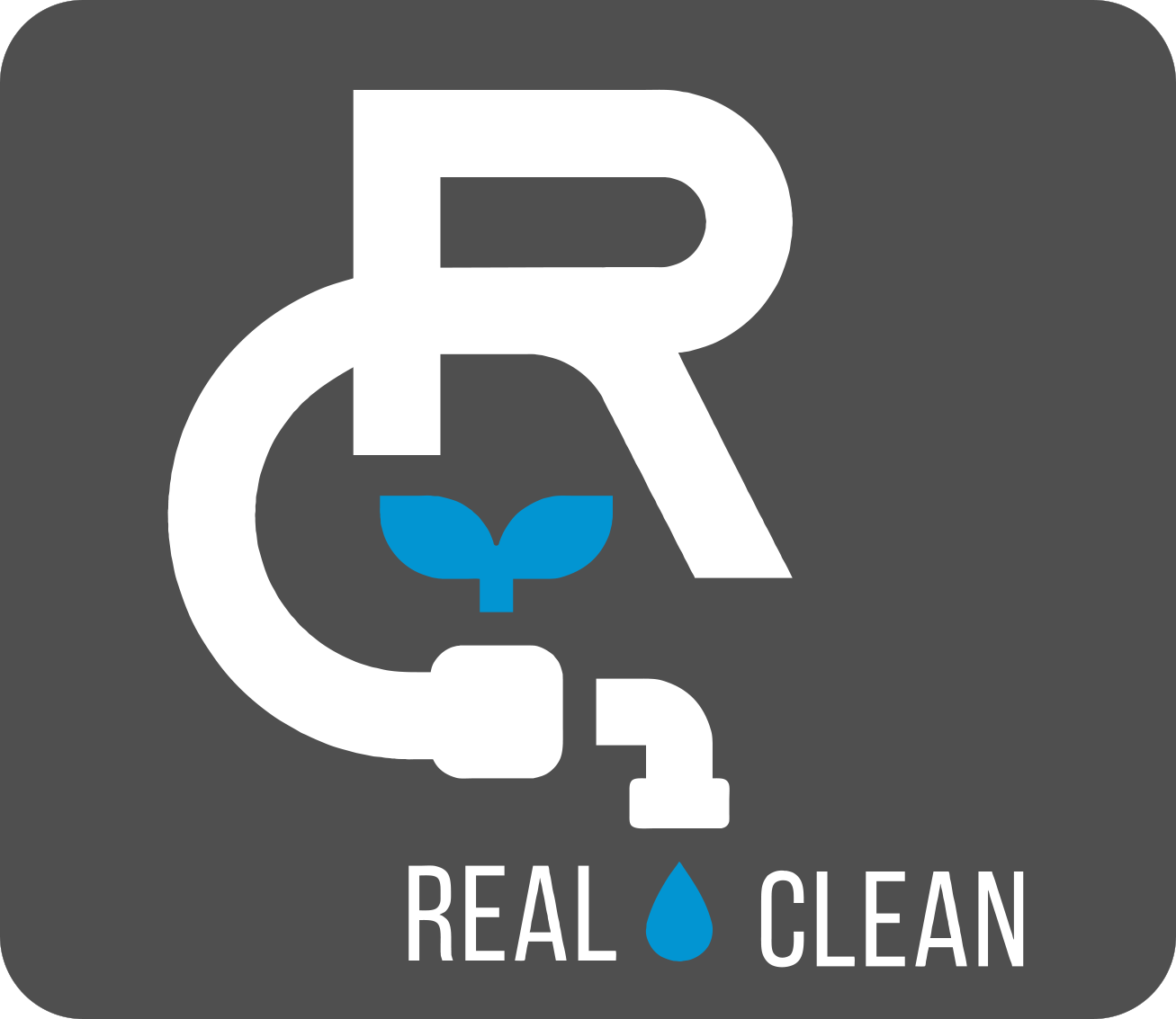 Realclean